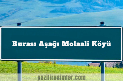 Burası Aşağı Molaali Köyü